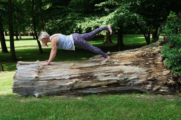 Bild zeigt: Asana Brett - Chaturanga Dandasana