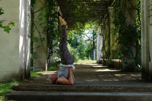 Bild zeigt: Asana Schulterstand - Sarvangasana