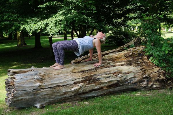 Bild zeigt: Asana Tisch - Purvottanasana